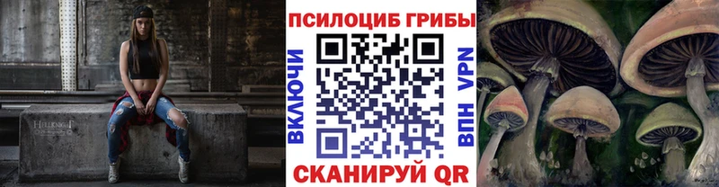 Псилоцибиновые грибы Psilocybine cubensis  Волхов 