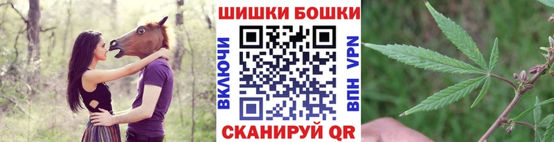 Конопля ГИДРОПОН  где найти наркотики  Волхов 